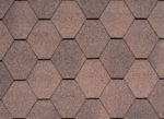Dual Brown